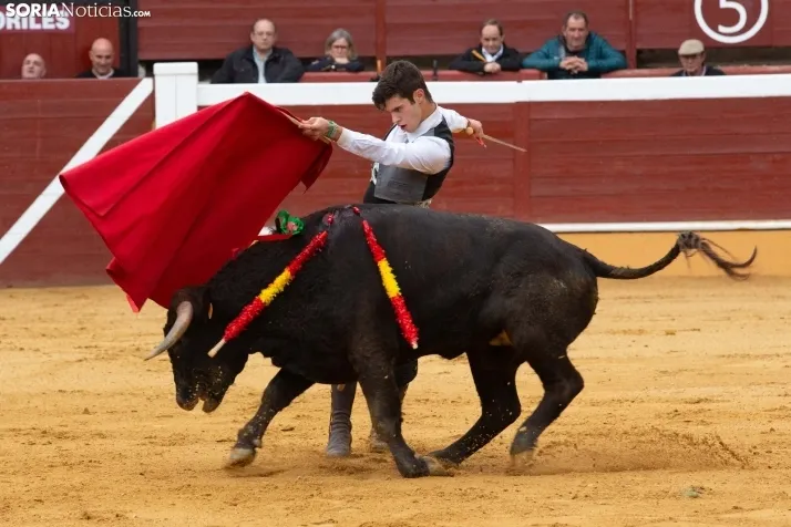 Novillada 2024