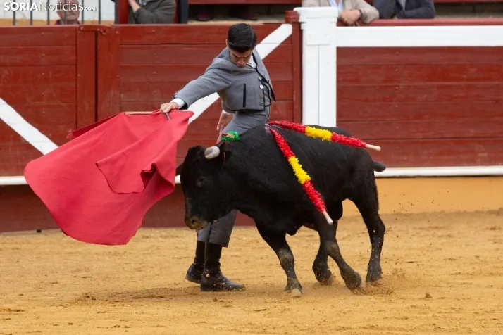 Novillada 2024