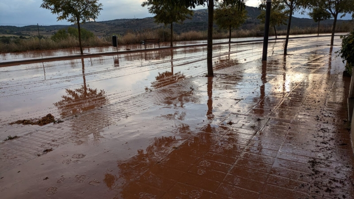 La Asociaci&oacute;n de Vecinos de los Royales se queja al Ayuntamiento por las inundaciones y el barro