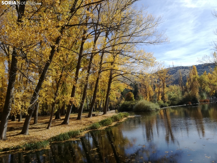 Otoño a la orilla del Duero. 