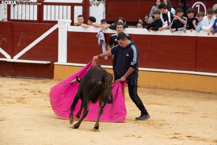 Vaquillas San Saturio