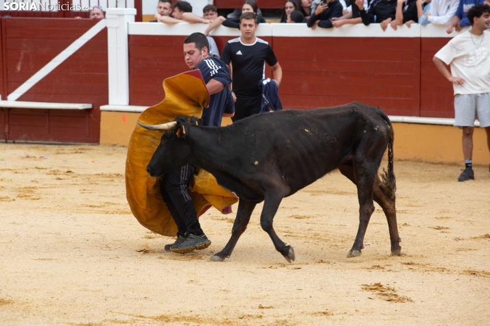 Vaquillas San Saturio