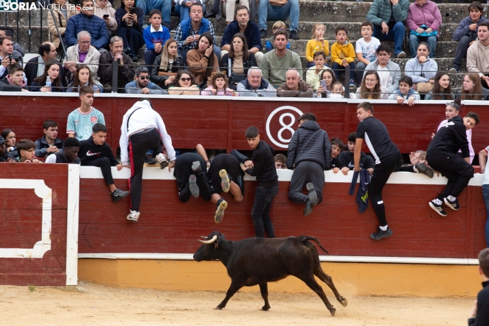 Vaquillas San Saturio