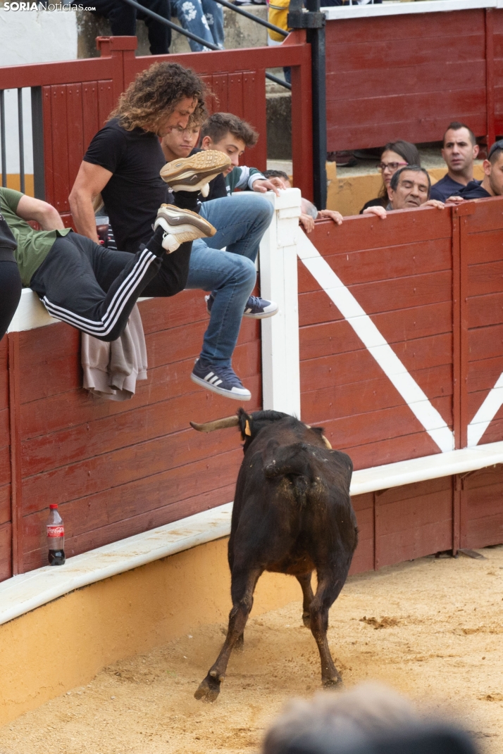 Vaquillas San Saturio