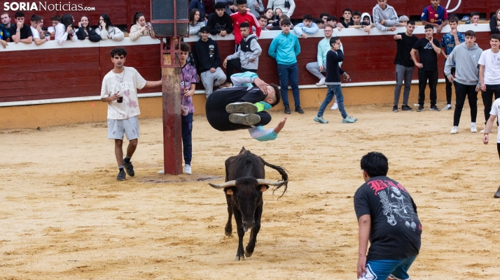 Vaquillas San Saturio