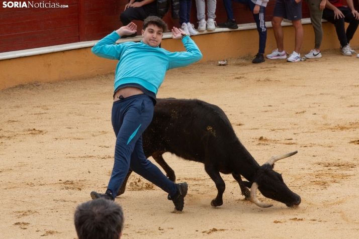 Vaquillas San Saturio