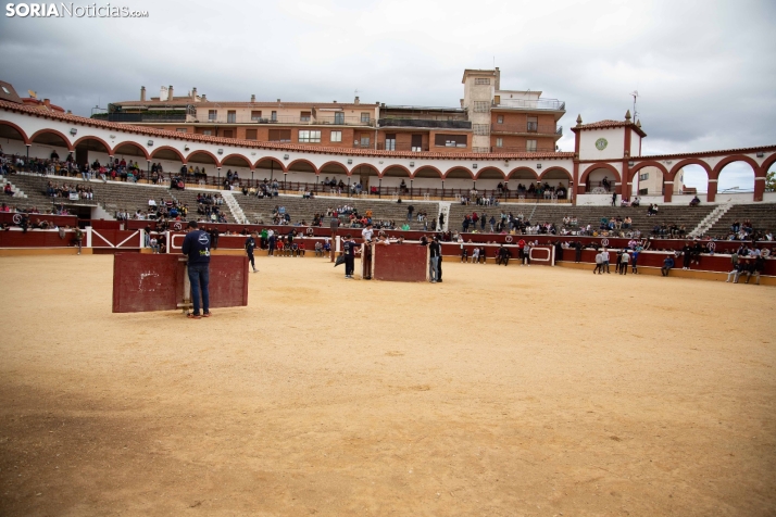 Vaquillas San Saturio