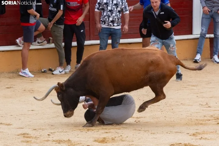 Vaquillas San Saturio