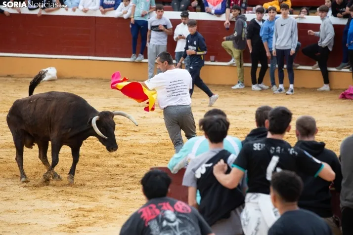 Vaquillas San Saturio