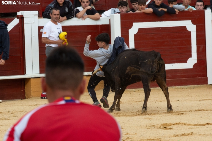 Vaquillas San Saturio