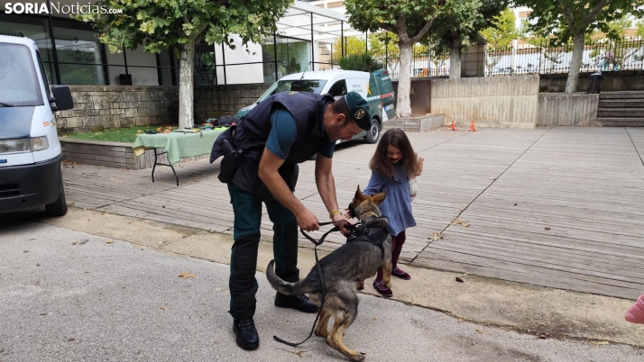 &iquest;C&oacute;mo trabaja la Guardia Civil en Soria?