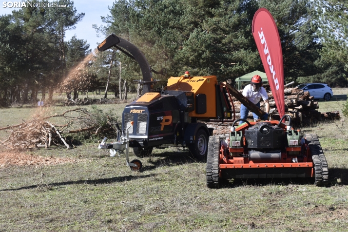 Inauguración de Cabforest 2024. 