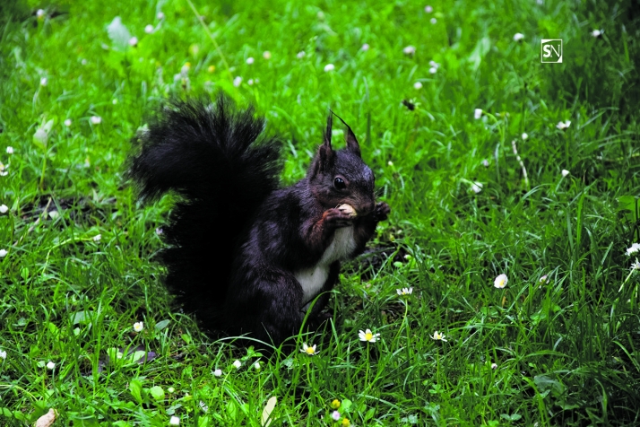 Ciencia para personas no científicas