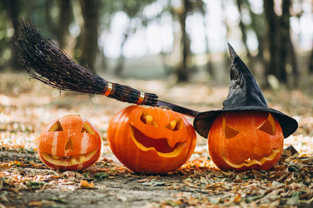 Vinuesa prepara la noche más terrorífica del año con una Fiesta Halloween