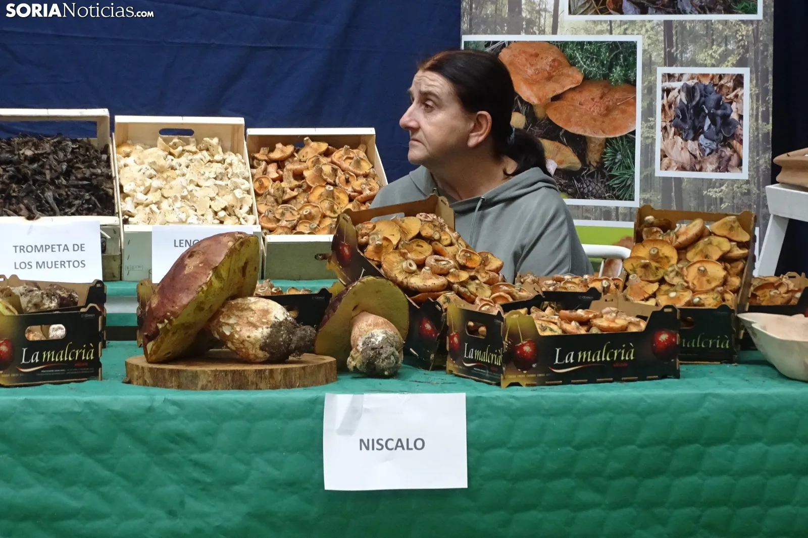 Una imagen de la feria micológica este sábado. /PC