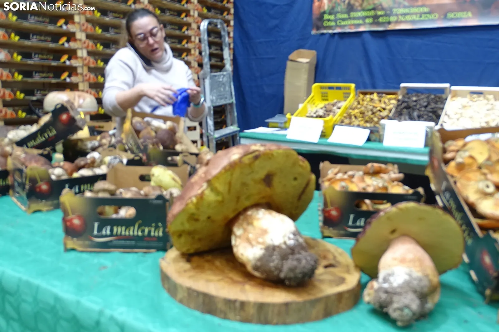 Una imagen de la feria micológica este sábado. /PC