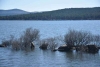 Foto 1 - El embalse de la Cuerda del Pozo se encuentra al 56,08 por ciento de su capacidad