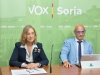 Foto 1 - Vox exige el equipo de gobierno de Soria que licite un nuevo contrato de jardines tras estar el actual caducado desde hace 6 años