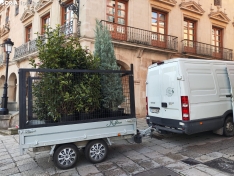 Una imagen de la plaza Mayor este mediodía de martes. /SG