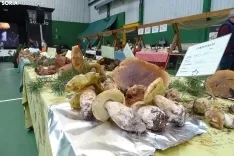 Una imagen de la feria micológica este sábado. /PC