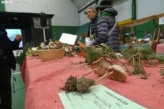 Una imagen de la feria micológica este sábado. /PC