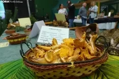 Una imagen de la feria micológica este sábado. /PC