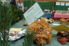 Una imagen de la feria micológica este sábado. /PC