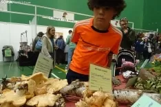 Una imagen de la feria micológica este sábado. /PC