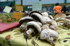 Una imagen de la feria micológica este sábado. /PC