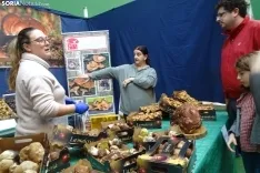 Una imagen de la feria micológica este sábado. /PC