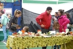 Una imagen de la feria micológica este sábado. /PC