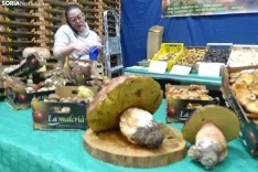 Una imagen de la feria micológica este sábado. /PC