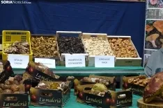 Una imagen de la feria micológica este sábado. /PC