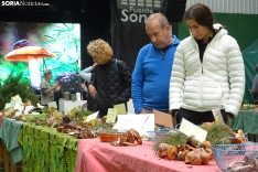 Una imagen de la feria micológica este sábado. /PC