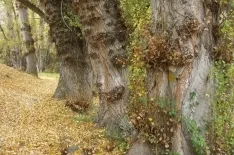 Foto 3 - Ruta: El Pozo de las Truchas de &Aacute;greda