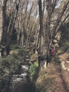 Foto 4 - Ruta: El Pozo de las Truchas de &Aacute;greda
