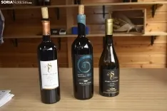 Feria del Vino 2024.
