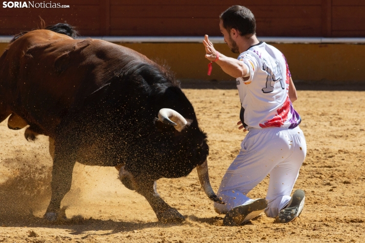 Jornada taurina por la DANA en Soria