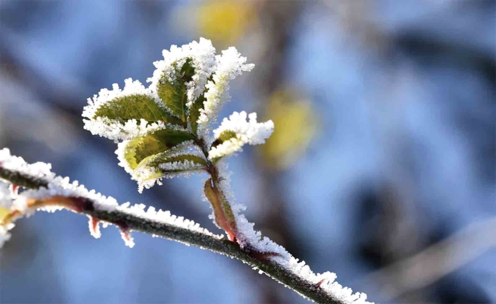 Vuelve el sol y suben, algo, las máximas en Soria