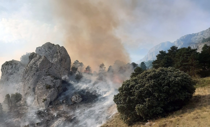 Baja un 75% el número de hectáreas forestales afectadas respecto a la media del decenio y el de incendios un 41 %, con un total de 811, un 75,7% conatos