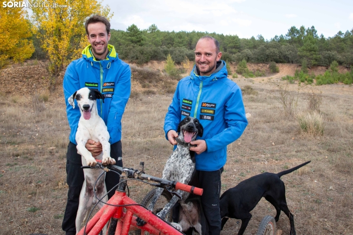 Soria, una potencia dentro del mushing nacional: Cinco corredores en el Campeonato de España