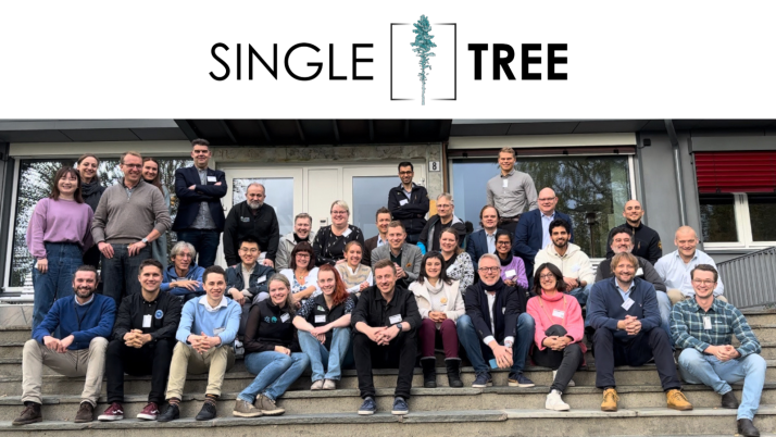 Cesefor Impulsa la Digitalización Forestal en Castilla y León con el Proyecto SingleTree