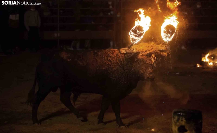 Los orígenes del Toro Jubilo de Medinaceli: Una Tradición Ancestral