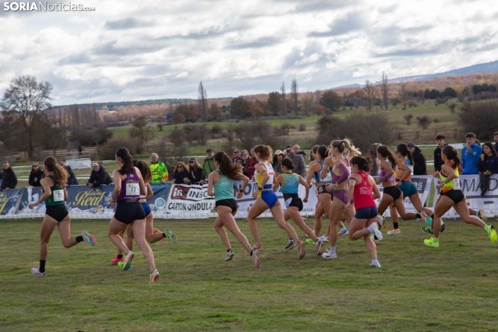 XXX Cross Internacional Ciudad de Soria