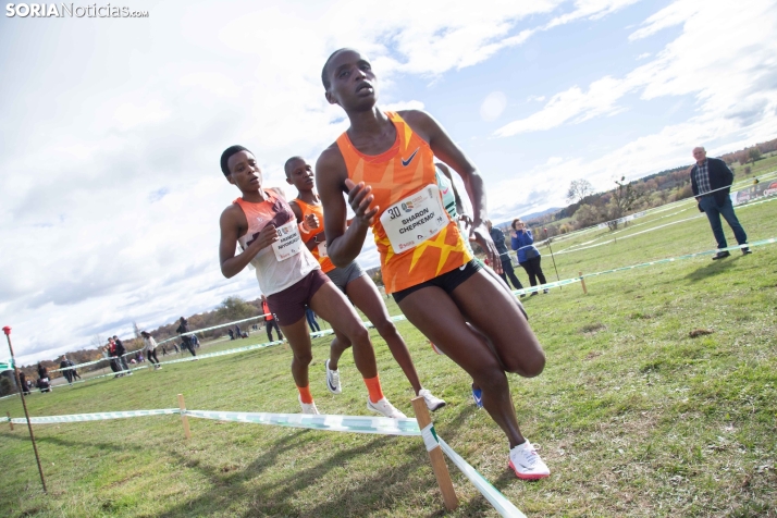 XXX Cross Internacional Ciudad de Soria