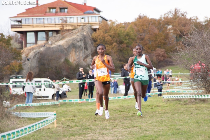 XXX Cross Internacional Ciudad de Soria