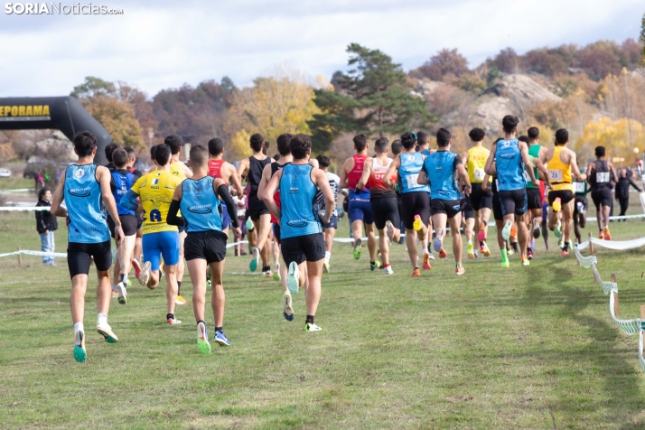 XXX Cross Internacional Ciudad de Soria