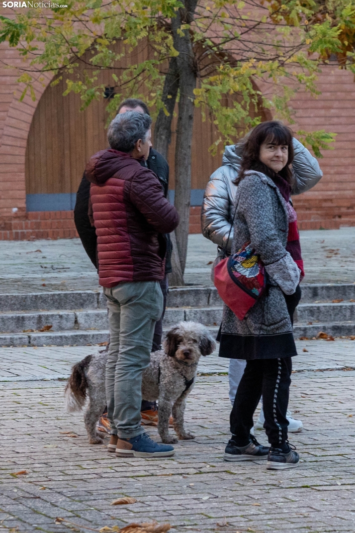 Manifestación PACMA Toro Jubilo./ Viksar Fotografía