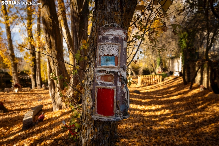 Otoño en Soria./Viksar Fotografía