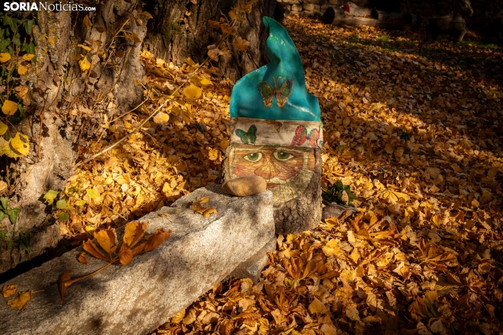 Otoño en Soria./Viksar Fotografía